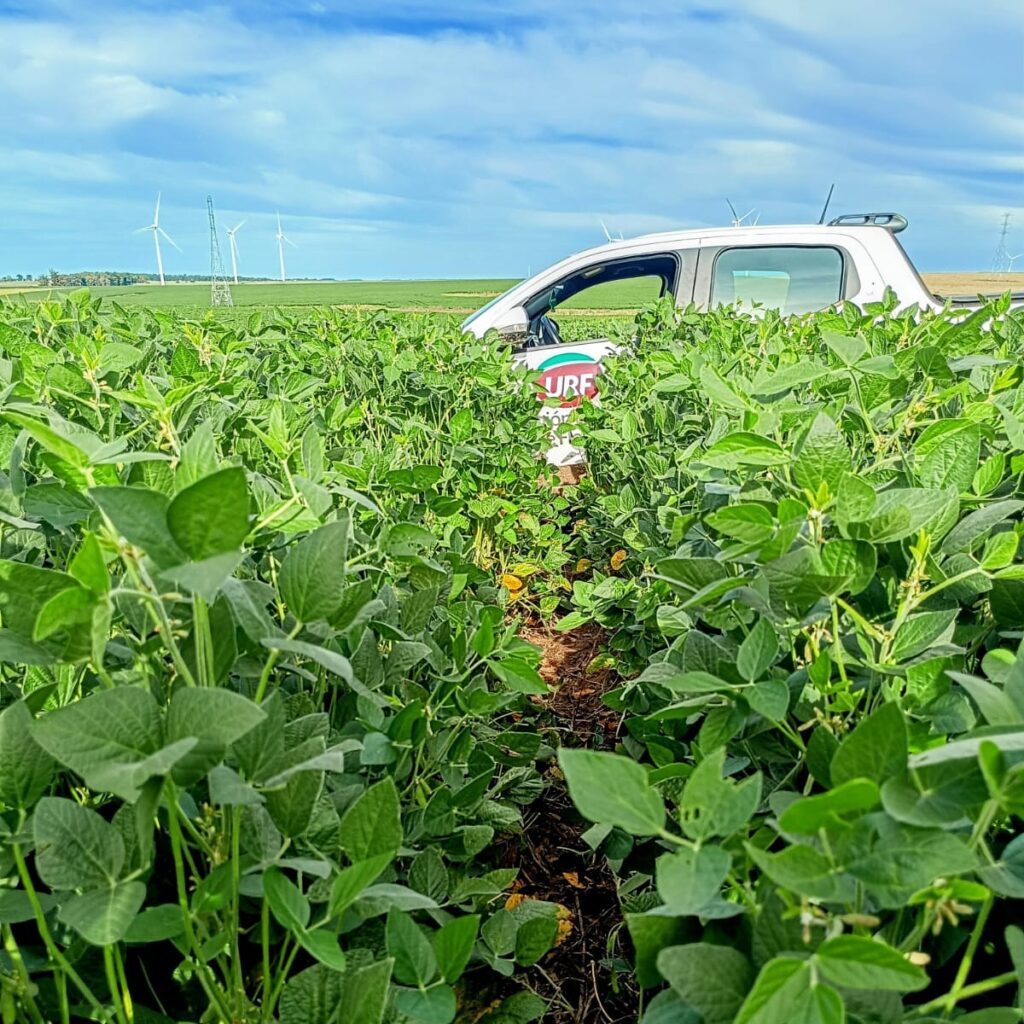 alt="Productores de URF utilizando herramientas para la digitalización del agro"