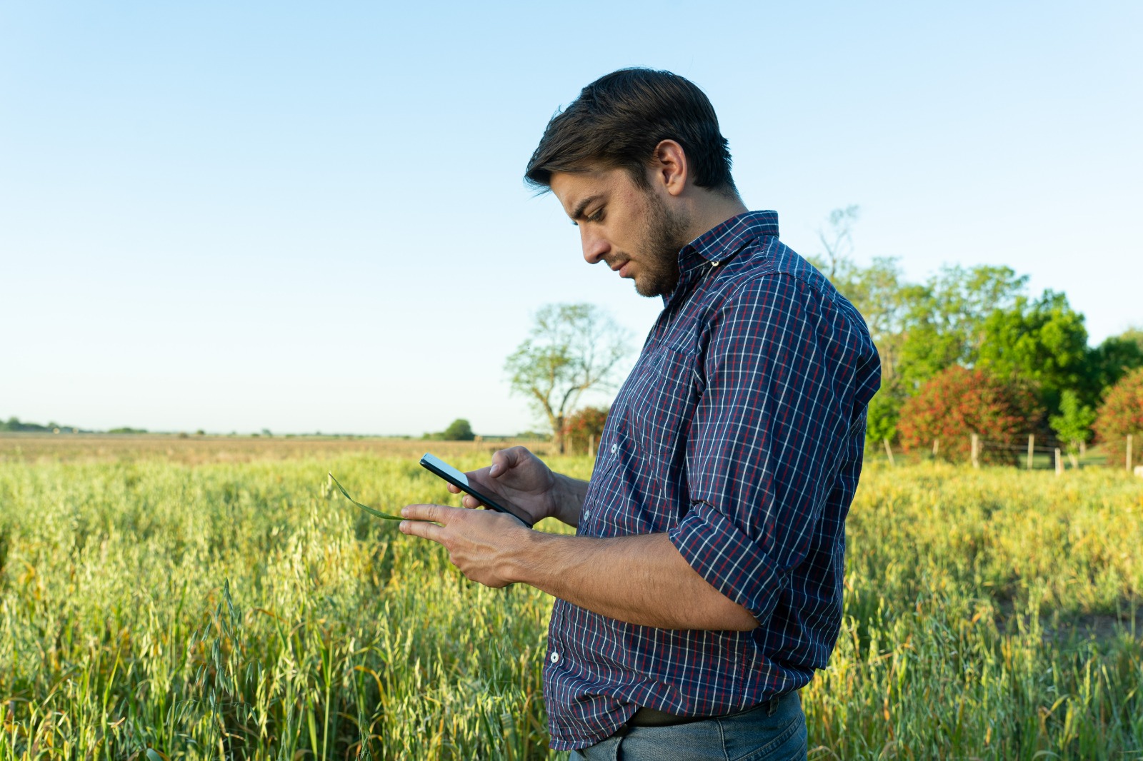Sima El Cerebro Digital Que Impulsa El Campo