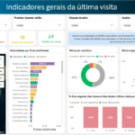 Painel do SIMA Analytics com indicadores gerais da última visita de monitoramento